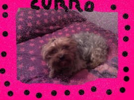 curro